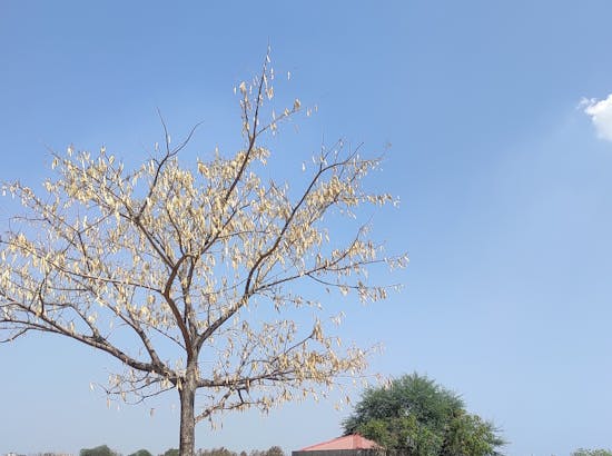 Prashant kiran Sistla